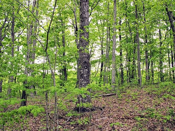5th image of 0 Gray Creek Rd Lot 23