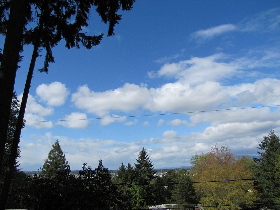 2555 Highland Oaks Drive View