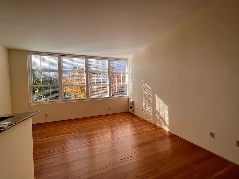 650 W 12th Ave #206 — Photo 5