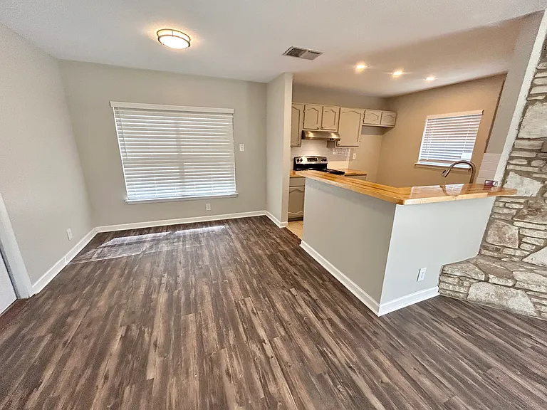 11227 Spring Mint Dr — Photo 4
