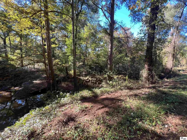 0 Ruggs Bluff Rd, Downsville, LA 71234