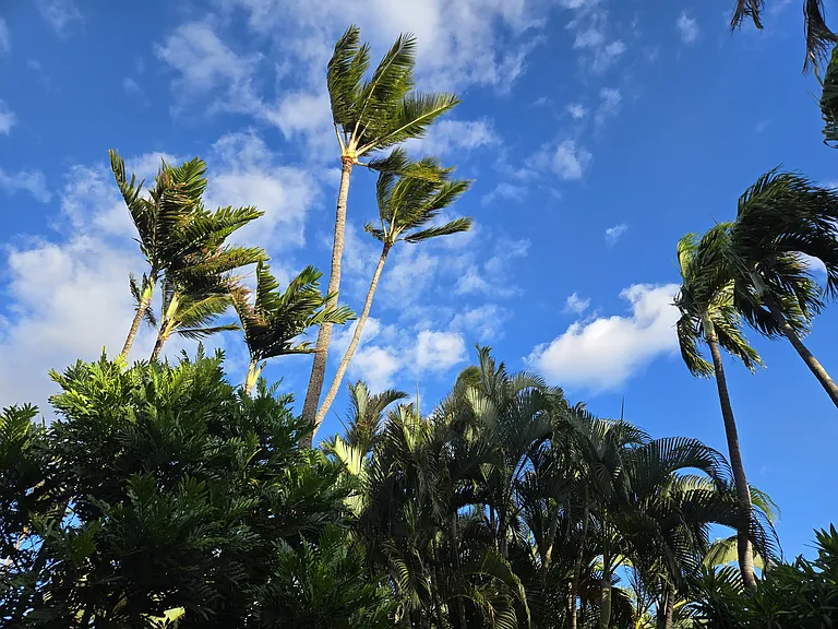 3559 Lower Honoapiilani Rd — Photo 23