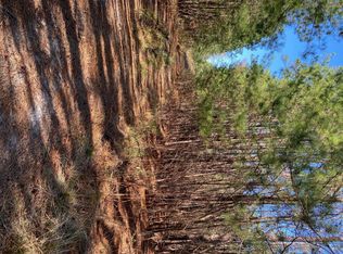 1 N Bend Rd TRACT 1, Wilmington, NC 28411