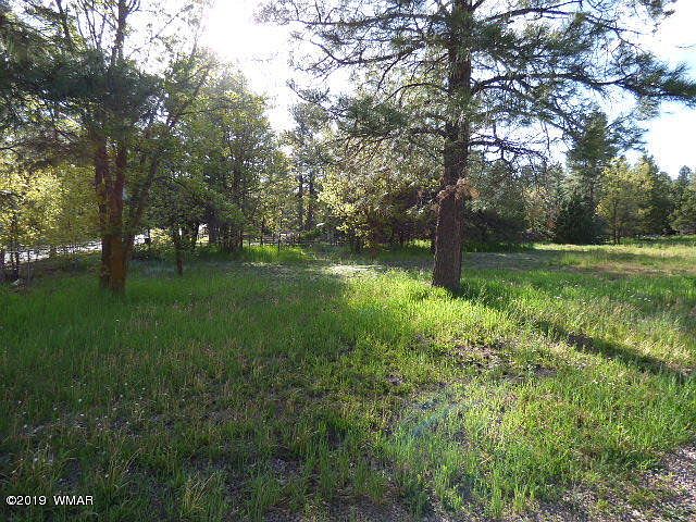1st image of 3100 Rainbow Lake Dr