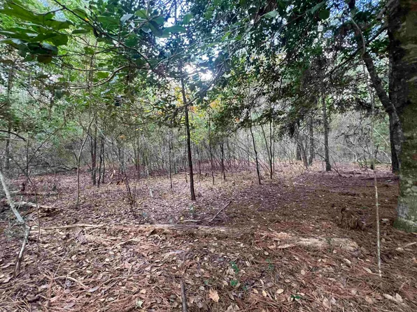 0 Blue Willow Dr, Village Mills, TX 77663