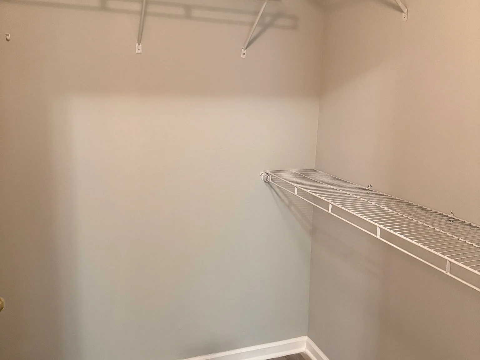 3 bed, 1335 sqft, $1,500 — Photo 2