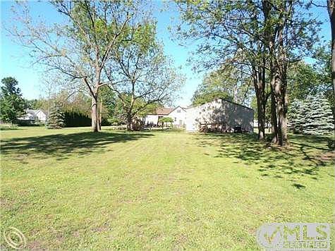 Expansive park-like yard