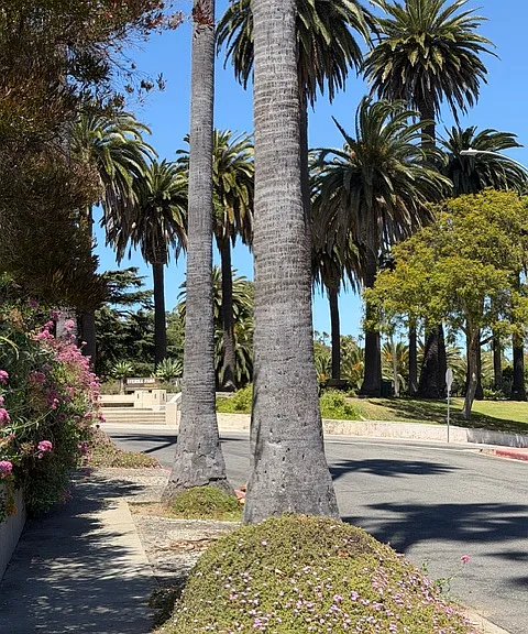 Guest Suite Parking Space