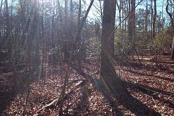 2nd image of 45 Appaloosa Lake Drive #45A