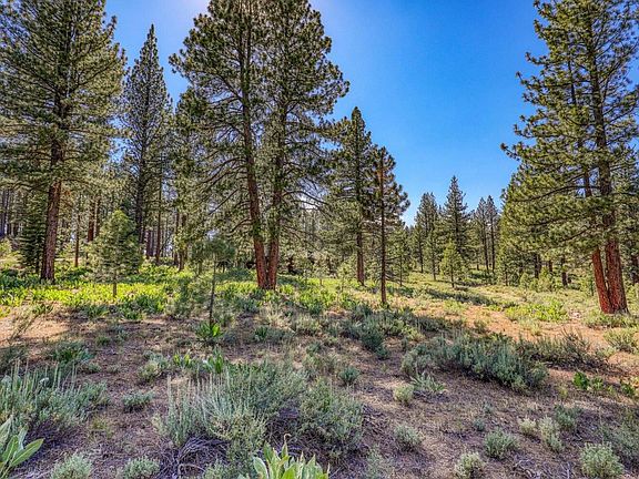 4th image of 7455 Lahontan Dr