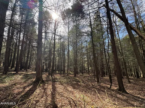 Pine Valley Rd, Fairhope, PA 15538