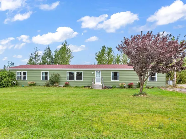20880 W Trufant Rd, Pierson, MI 49339