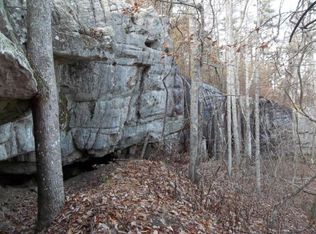 0 Jack Plank Rd, Spring City, TN 37381