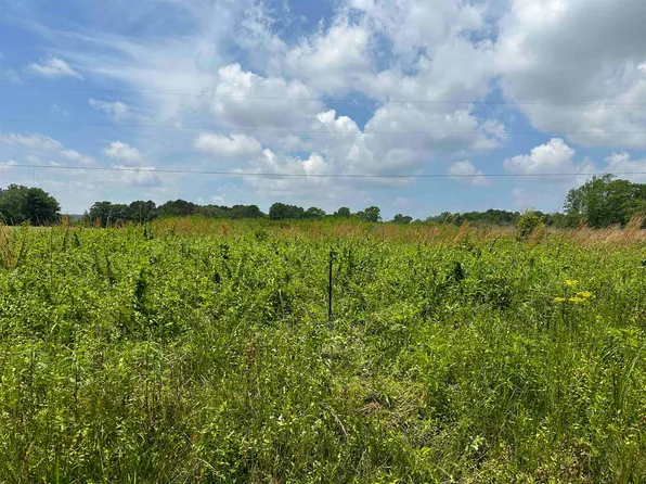 Trimble Dr, Hanceville, AL 35077