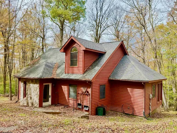 785 Ridge Rd, Davis, WV 26260