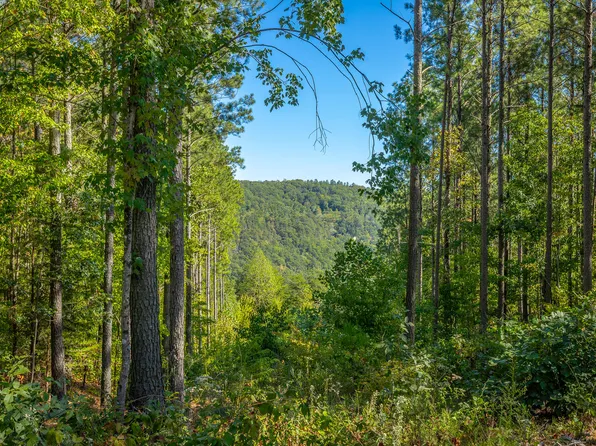 0 Split Rail Way Lot 1372, Guild, TN 37340