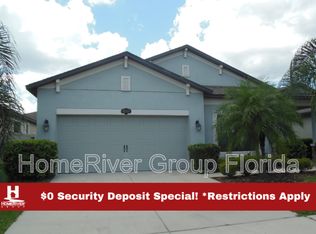 11515 Scarlet Ibis Pl, Riverview, FL 33569