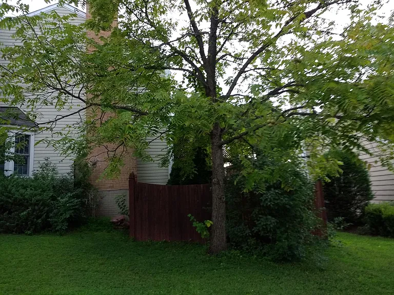14141 Wood Rock Way — Photo 6