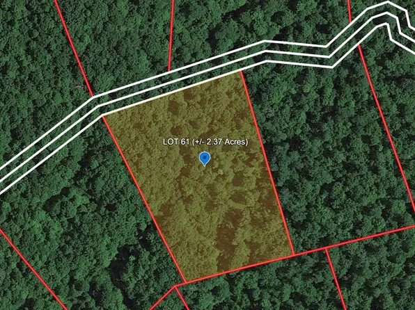 142 Gerber Daisy Trl, Shady Spring, WV 25918