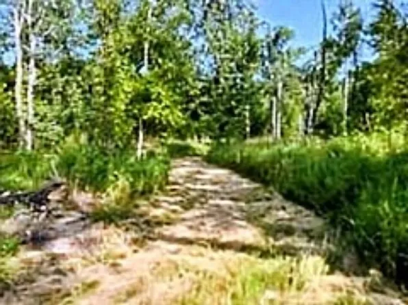 N/a Shenfield Rd, Turner, MI 48765