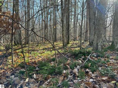 PARCEL 4 Hideaway Trl, Beaver Island, MI, 49782