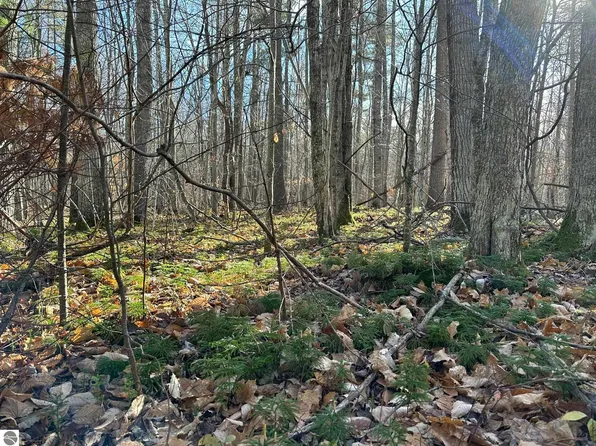 PARCEL 4 Hideaway Trl, Beaver Island, MI 49782