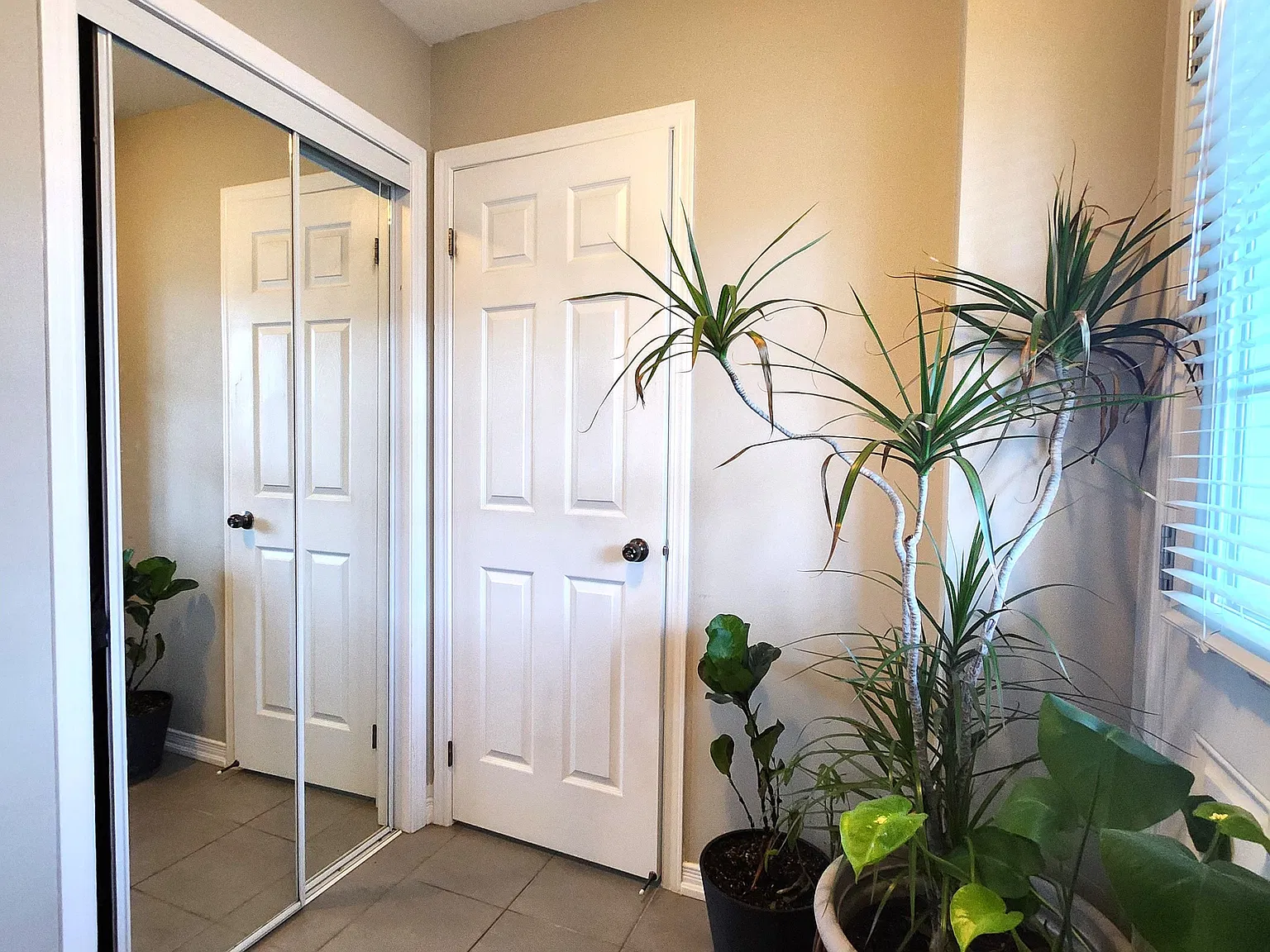 4 bed, $2,800 — Photo 3