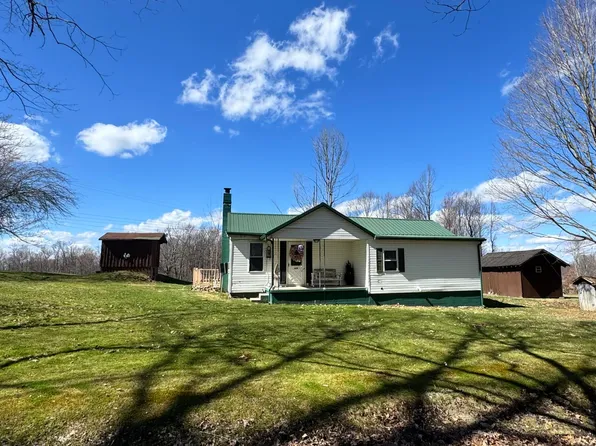 165 McMillion Ln, Nettie, WV 26681