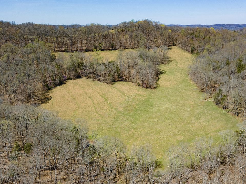 46th image of this home