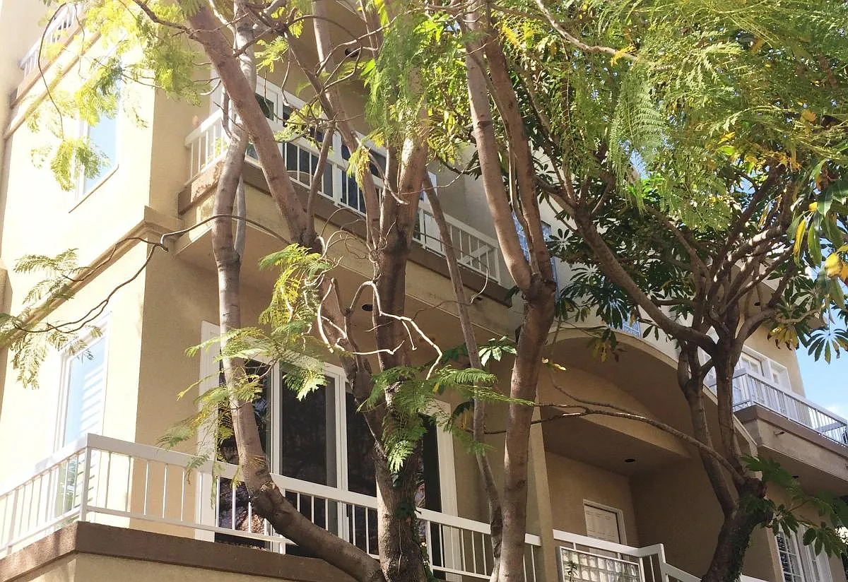3 bed, 3.5 bath, 2800 sqft, $7,500 — Photo 1