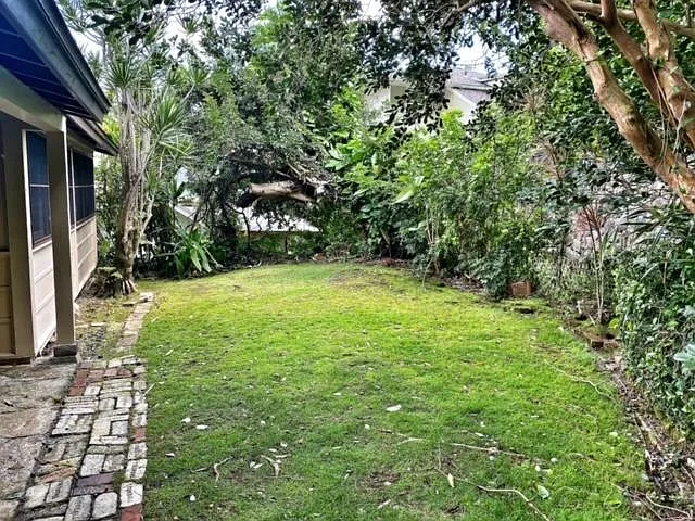 cute grassy backyard