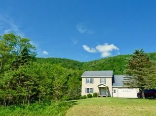 107 Patchen Ct, Spencer, NY 14883