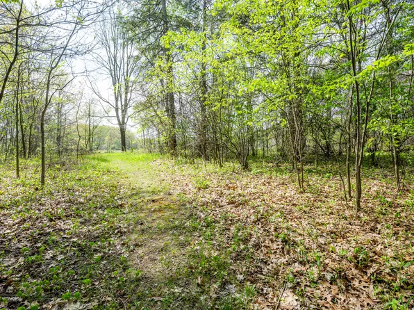0A Linke Rd, Bridgman, MI 49106