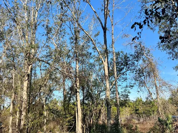 0 W Hwy 27, Mayo, FL 32066