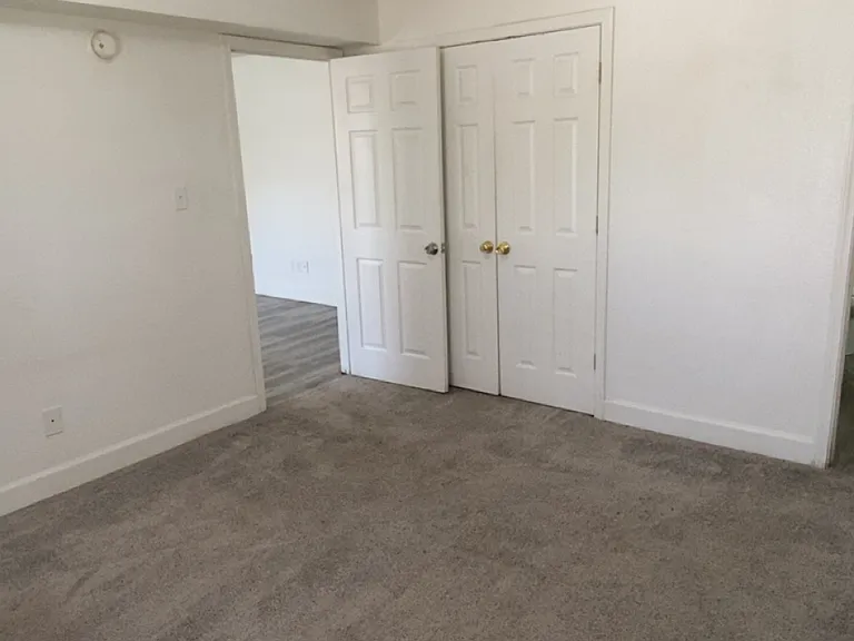 1 bedroom unit: master with carpet