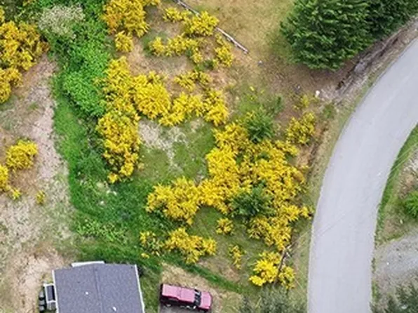 0 Delphi Road, Langley, WA 98260