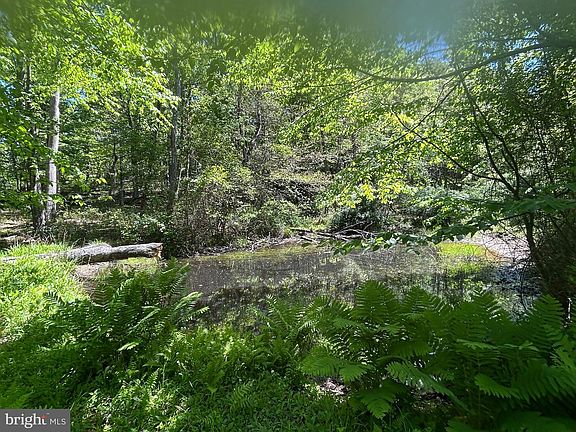 4th image of S South Timber Ridge Rd