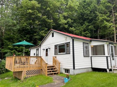 17 Little Ireland Road, Livingston Manor, NY, 12758