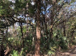 LOT 10 Granger Rd NE, Steinhatchee, FL 32359