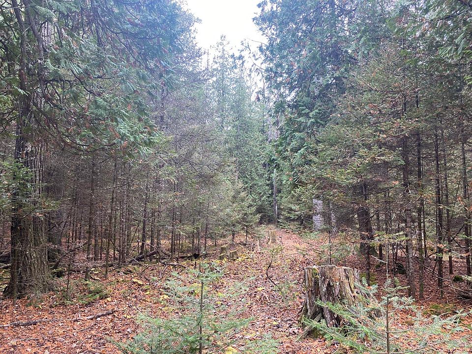 2763 E M 134, Hessel, MI 49745 Zillow