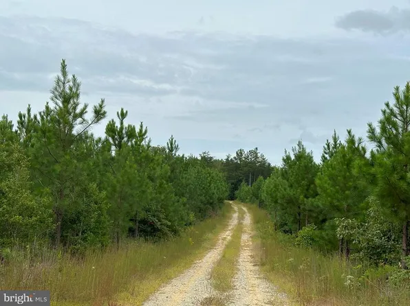 Bethlehem Road Route 636 Tract Bethlehem #1, Bowling Green, VA 22427