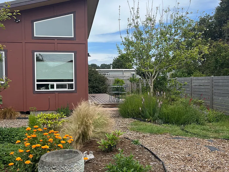 This photo is more recent than some, showing plants that are filling in as they grow.
