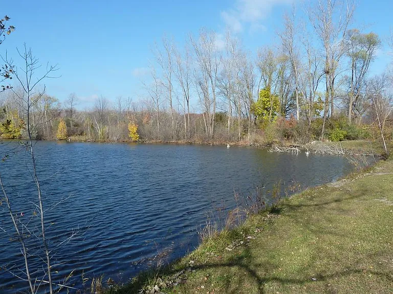LAKE VIEW