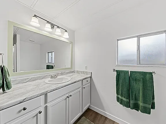Master Bath. New sink, counter top, new cabinet. Large mirror well lite to make it easy to shave or make up etc.