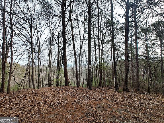 4th image of 1036 Astro Ct NE