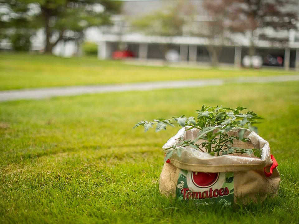 Community garden at our Falmouth apartments