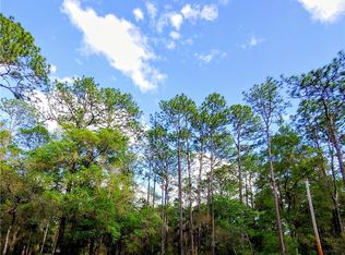 8029 N Pine Haven Point, Crystal River, FL 34428