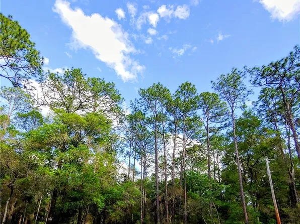 8029 N Pine Haven Point, Crystal River, FL 34428