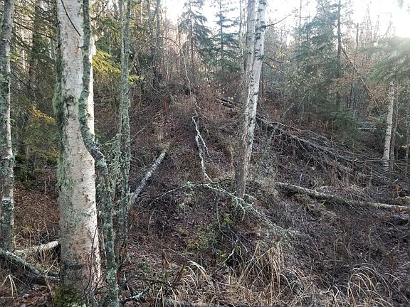 3rd image of 16123 Parksville Dr