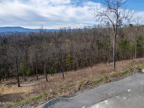 5th image of LOT 102 Laurel Cove Trl